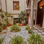 Spacious Sunny And Quiet Albayzin Apartment