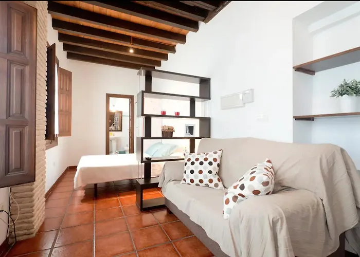 Apartamentos Centro Historico A Los Pies De La Alhambra