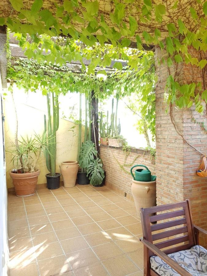 Apartment Piso En El Albaicin Alto, Junto Al Mirador De San Miguel Alto. Granada. *