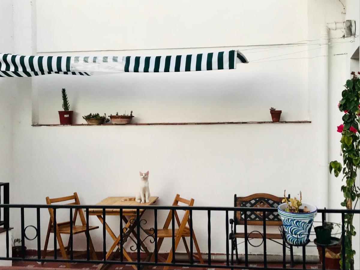 La Morada Sur Homestay