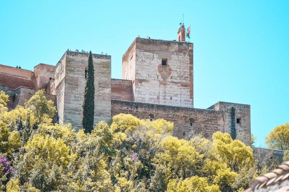 Apartamento Zafra Albaicín *