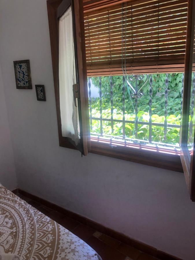 Alhambra En El Sacromonte Homestay *