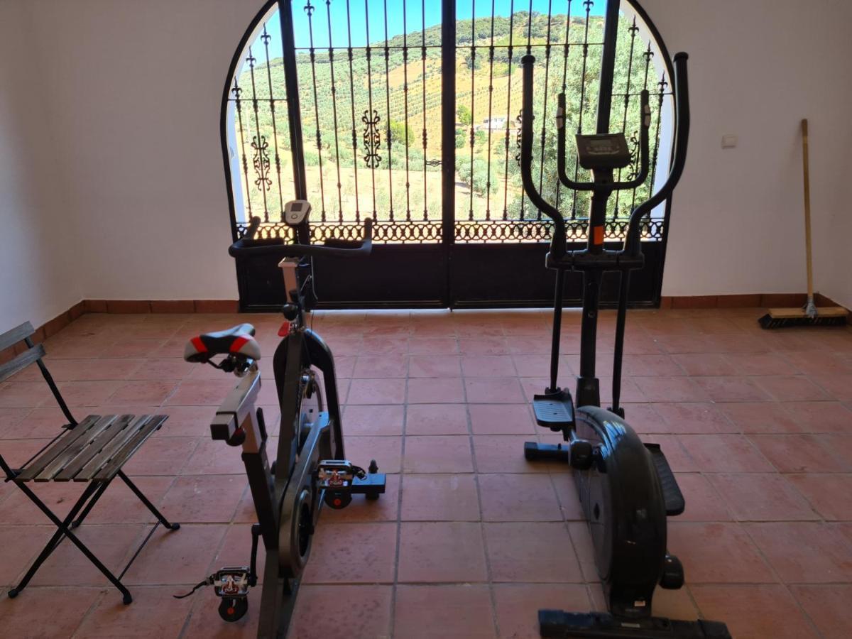 Bed and breakfast Cortijo Viva La Vida *