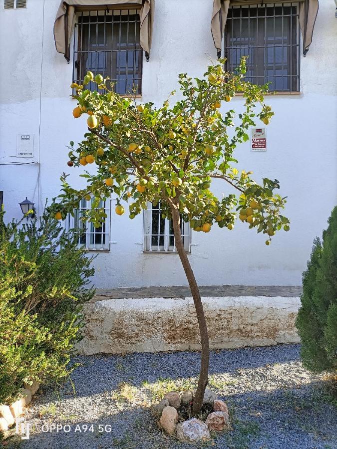 Morente Sueña La Alhambra Apartamento