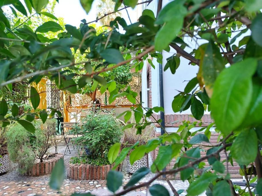 Casa Limonero Con Parking Gratis Junto A Centro Historico *
