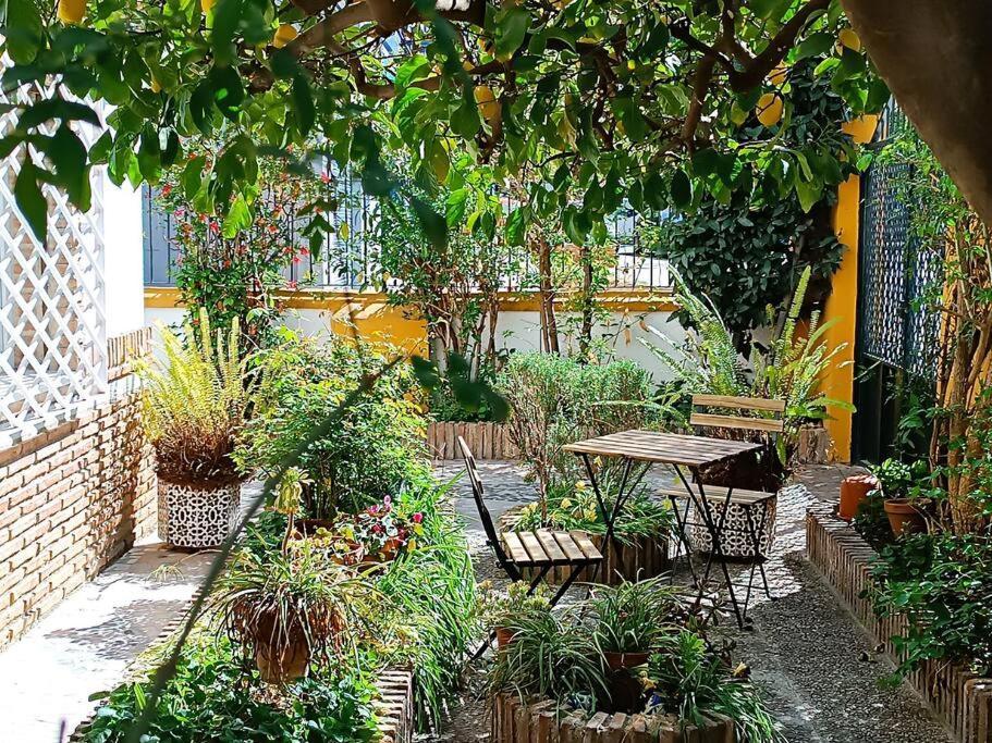 Casa Limonero Con Parking Gratis Junto A Centro Historico
