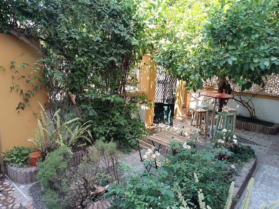 Casa Limonero Con Parking Gratis Junto A Centro Historico