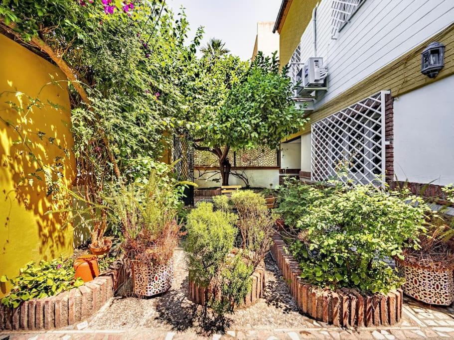 Casa Limonero Con Parking Gratis Junto A Centro Historico Сasa de vacaciones Granada