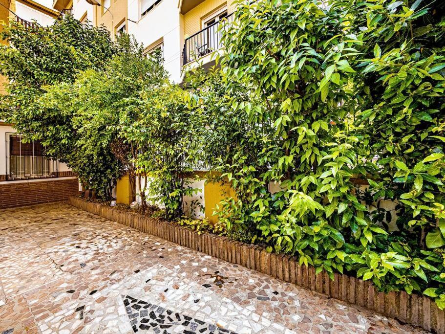 Сasa de vacaciones Casa Limonero Con Parking Gratis Junto A Centro Historico *