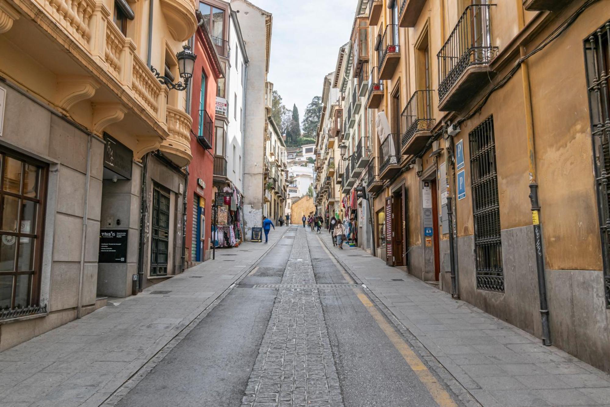 El Olivo En Plaza Nueva *