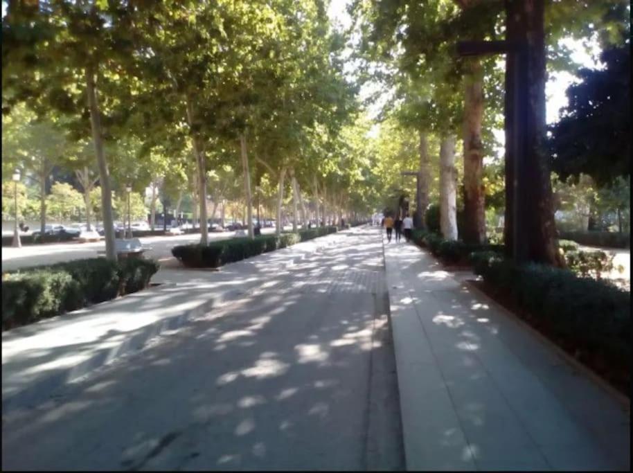Apartment Hogar Del Lirio *