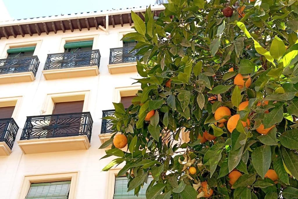 Large Family In Albaicin Center * Granada
