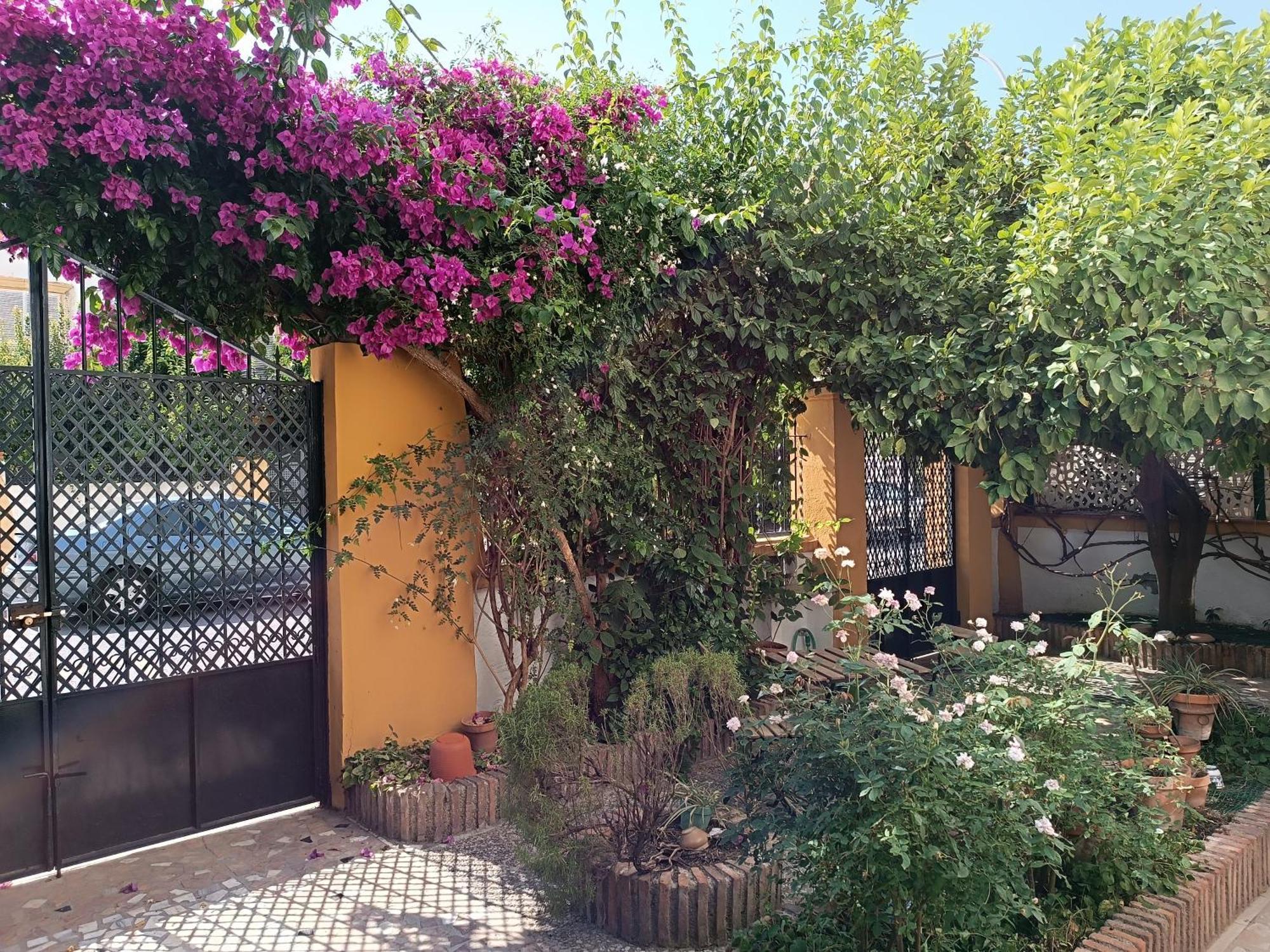 Casa Limonero Con Parking Gratis Junto A Centro Historico Сasa de vacaciones Granada