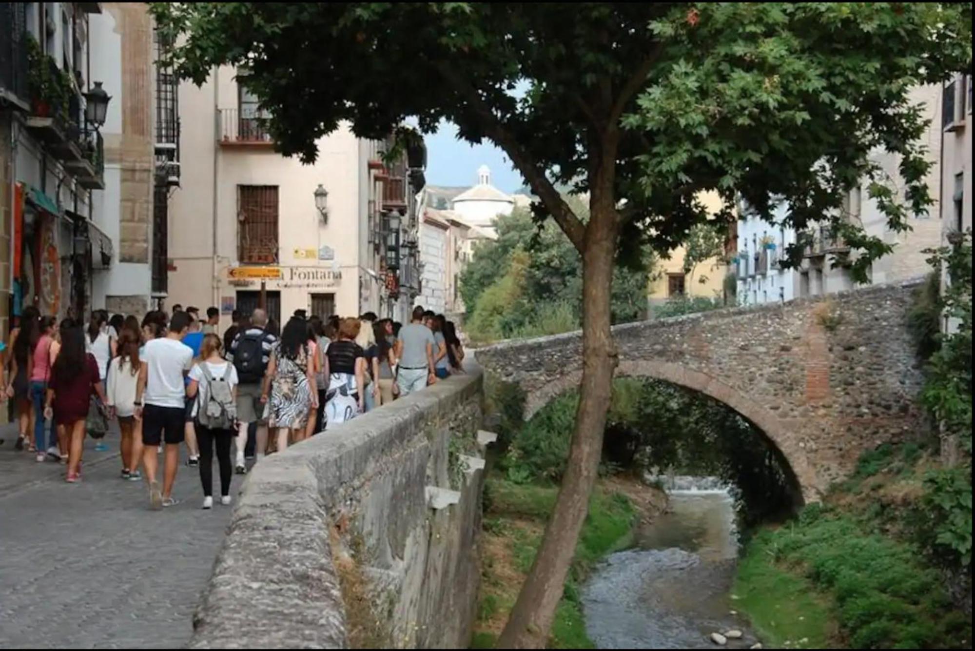 Apartamento Centro Historico A Pies De La Alhambra Granada