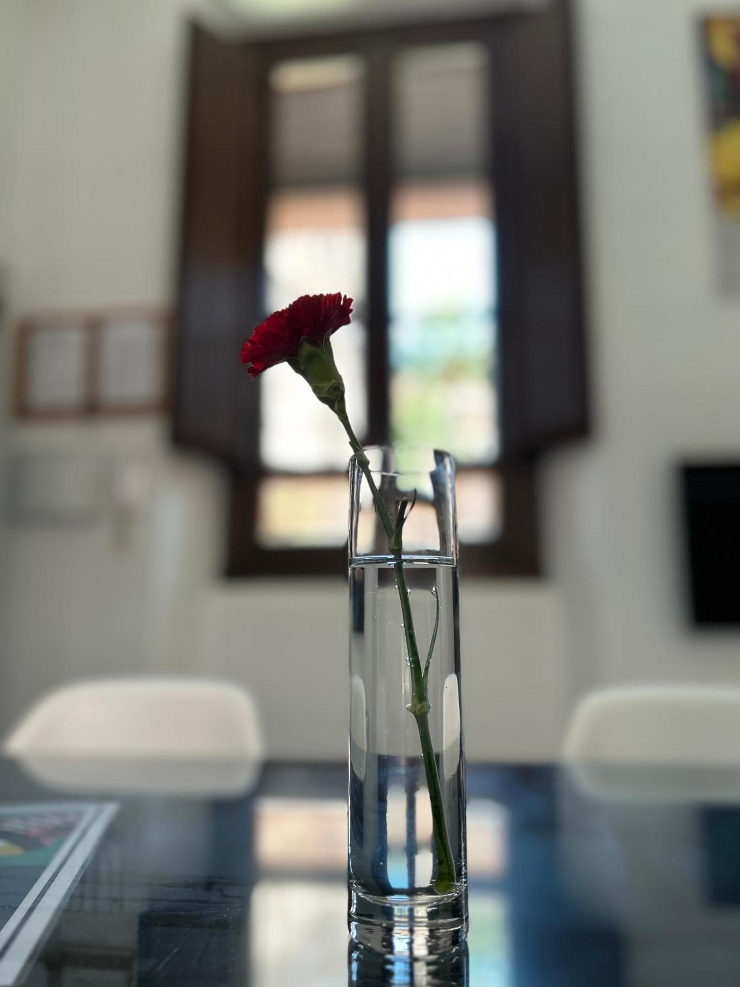 Romanilla Loft Apartamento
