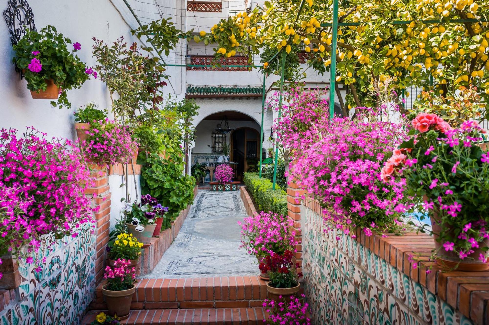 Grazaries -piso Centrico Granada- Apartamento *