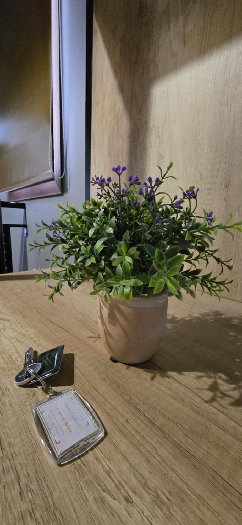 Apartamento Ibericabeds Albaicín