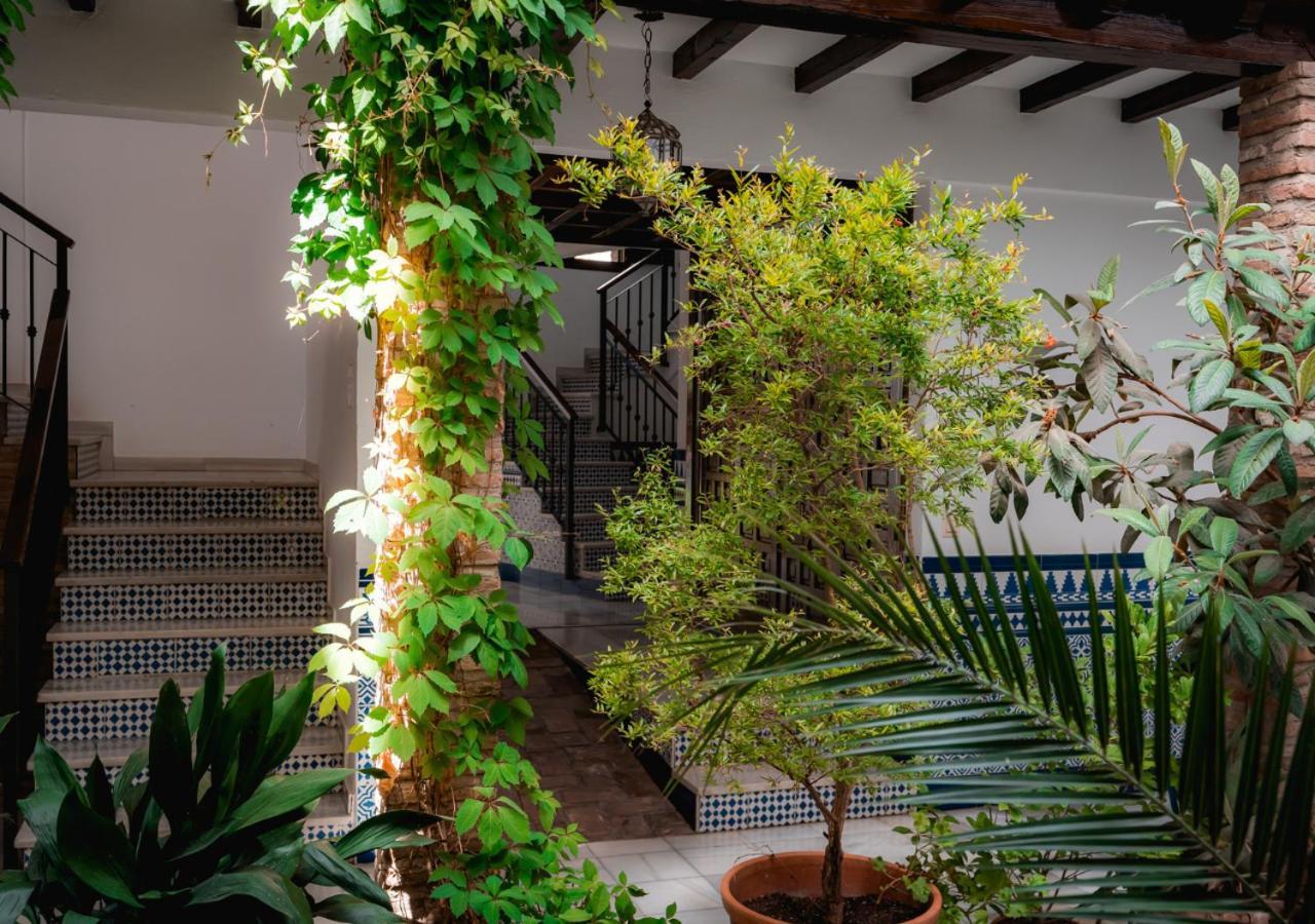 Apartamento Turistico En El Albaicin Qh Caldereria Vieja Apartment Granada