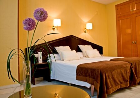 Hotel Porcel Navas Granada