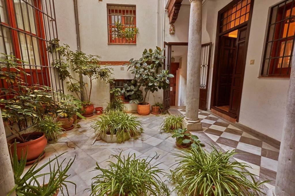 Apartment Spacious Sunny And Quiet Albayzin