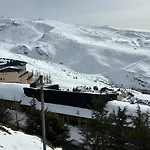 Biznaga Nevada