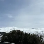 Biznaga Nevada