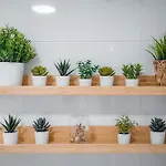 Apartamento La Tana Centro 2