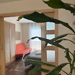 Constitucion Suite Confort D