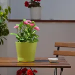 Apartamentos San Isidro 44