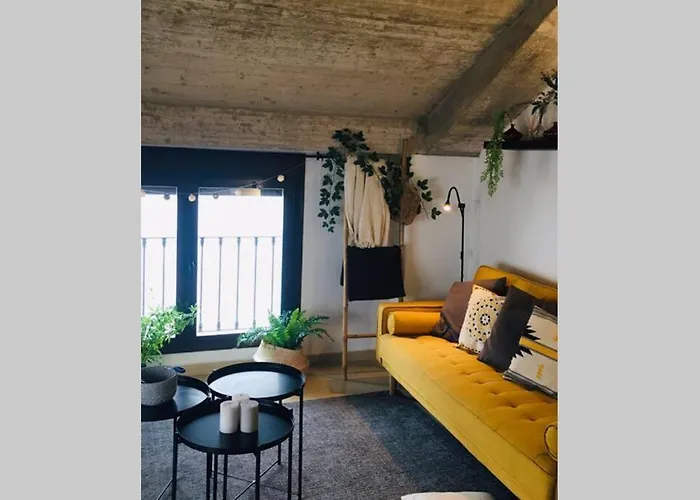 Apartamento centro Catedral Botánico