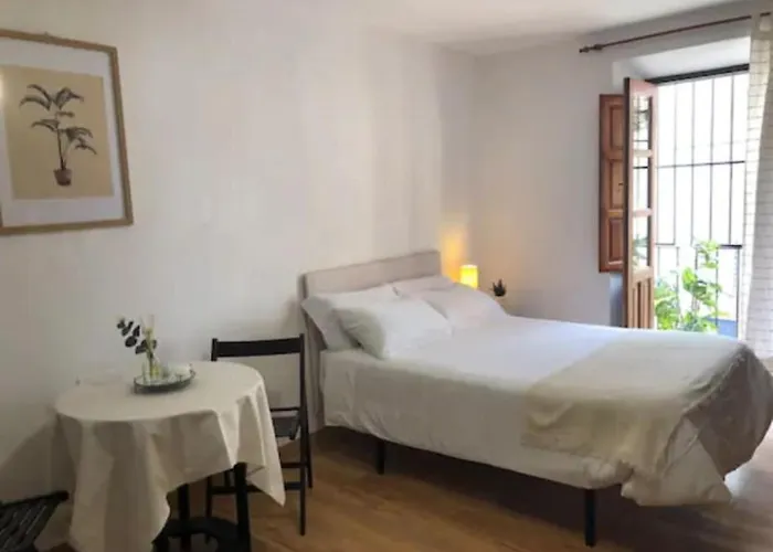 Apartamento Completo Reformado En Arco De Elvira - Centro
