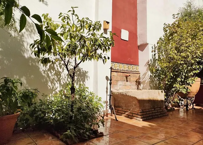 Dar Ar Nur Albaycin Con Patio