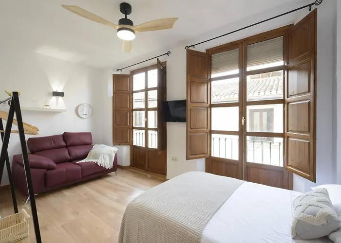 Apartamento Granada Catedral