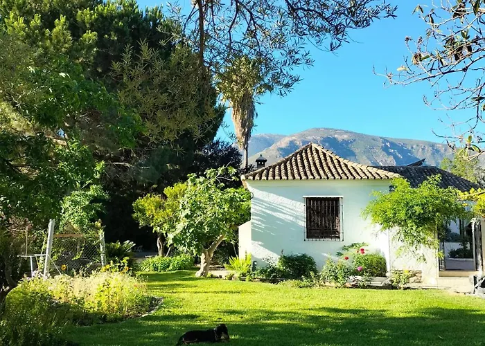 Oasis De Frescura En Verano