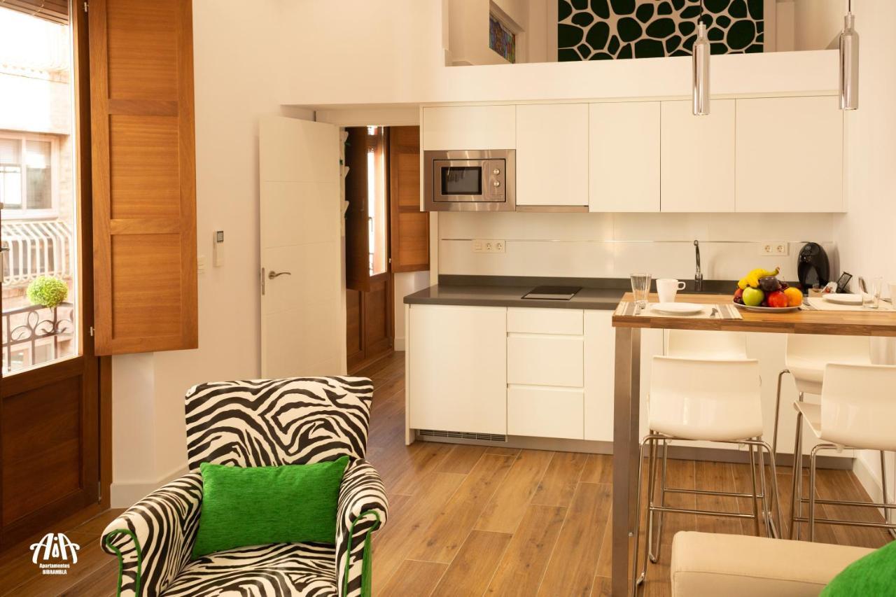 Aia Loft Bibrambla Apartment Granada