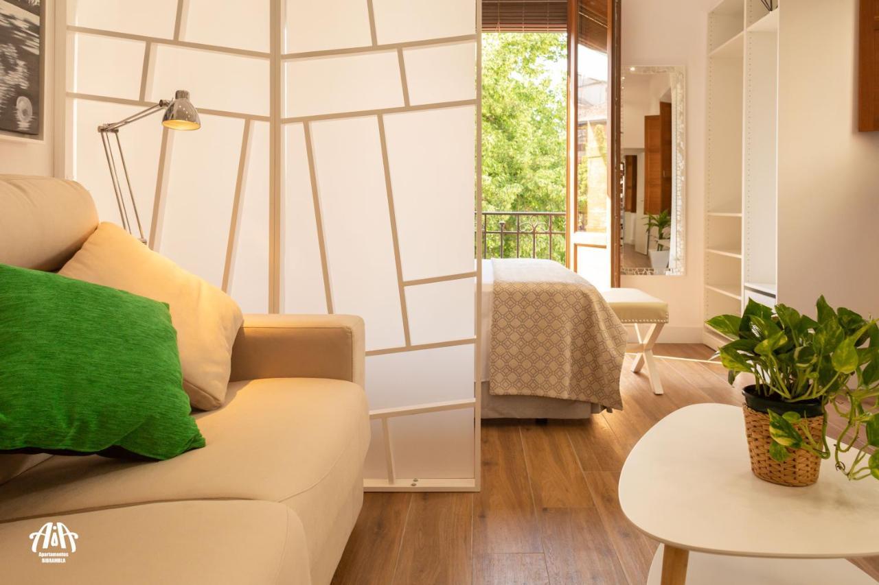 Aia Loft Bibrambla Granada