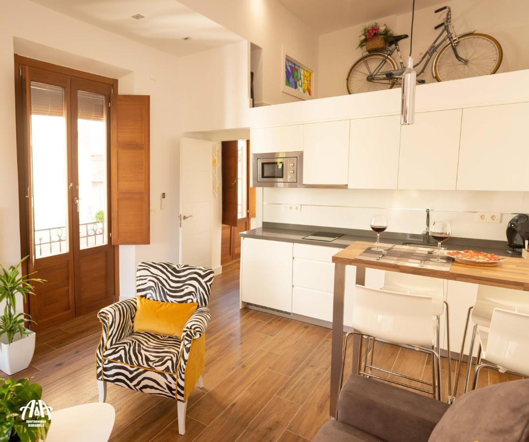 Apartment Aia Loft Bibrambla Granada