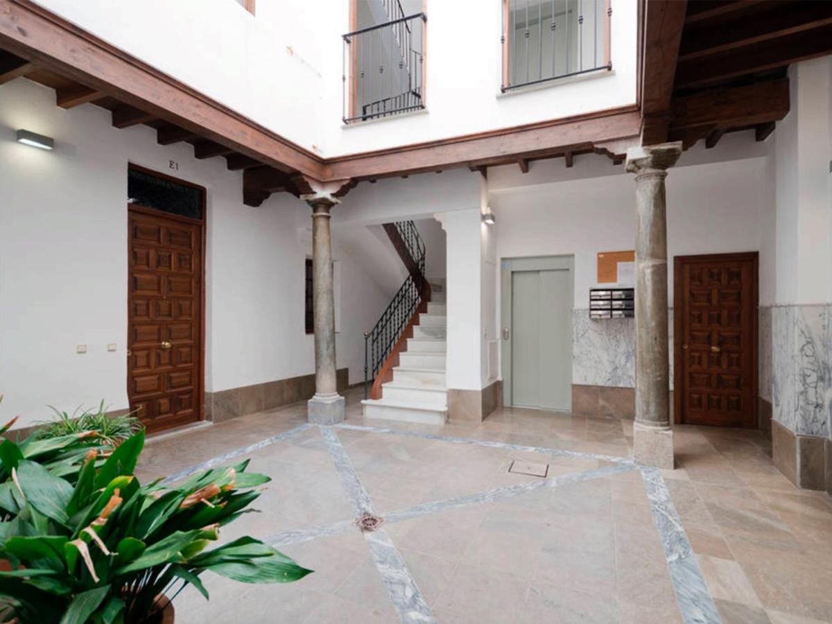 Loft Wifi Centro Espectacular Terraza Con Todos Servicios * Granada