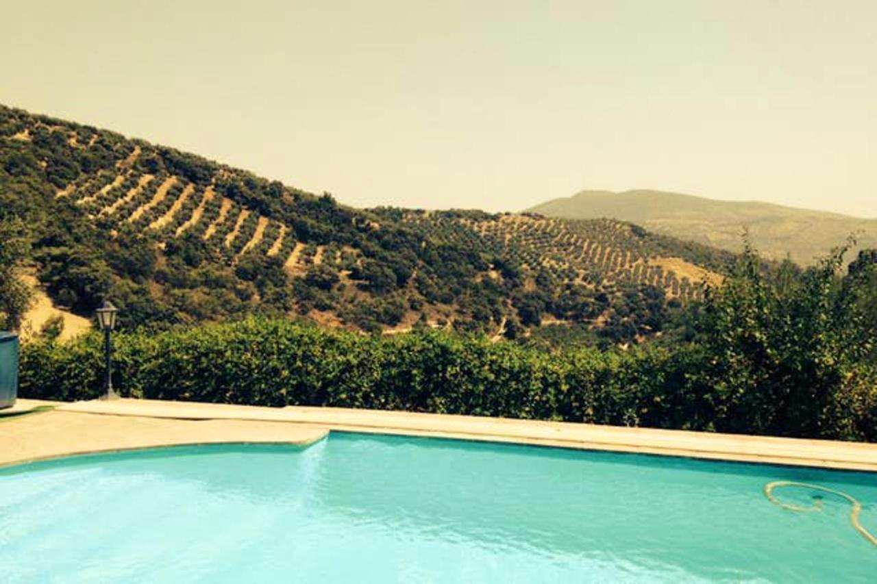 Elegant In With Pool And Garden *