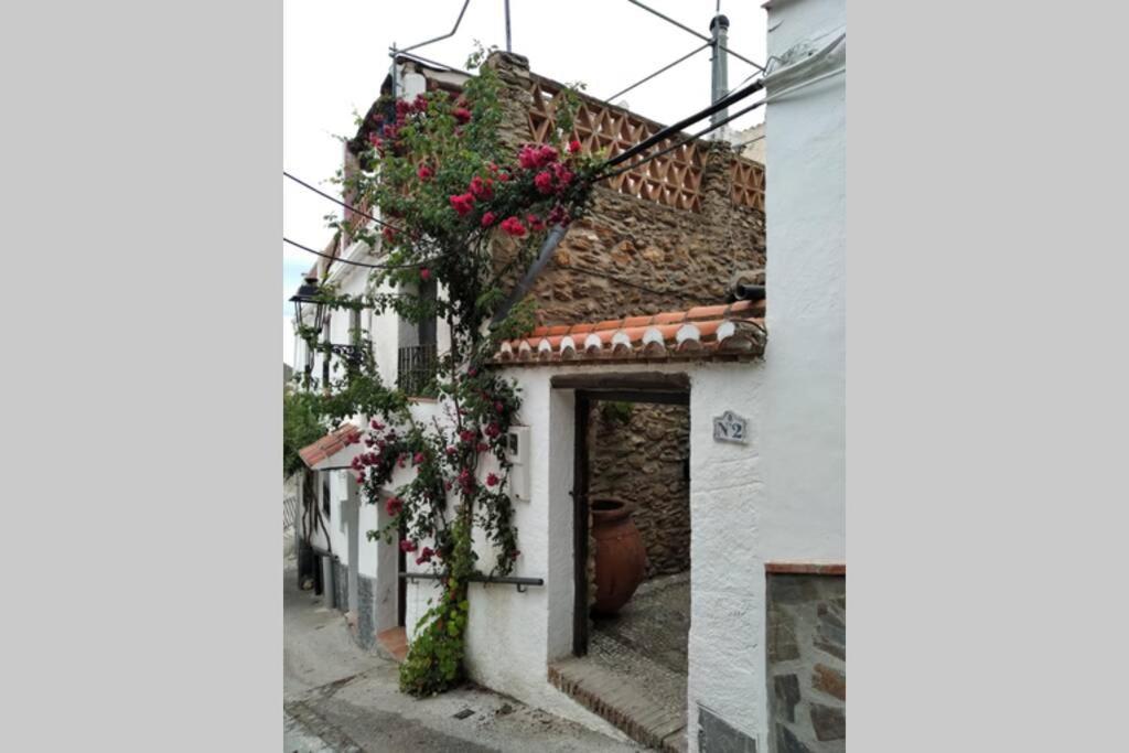 Casa Fuensanta Balcón Al Mar De La Alpujarra Chalet *
