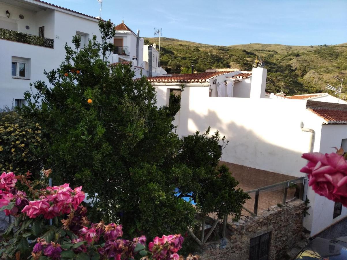 Casa Fuensanta Balcón Al Mar De La Alpujarra Chalet Granada