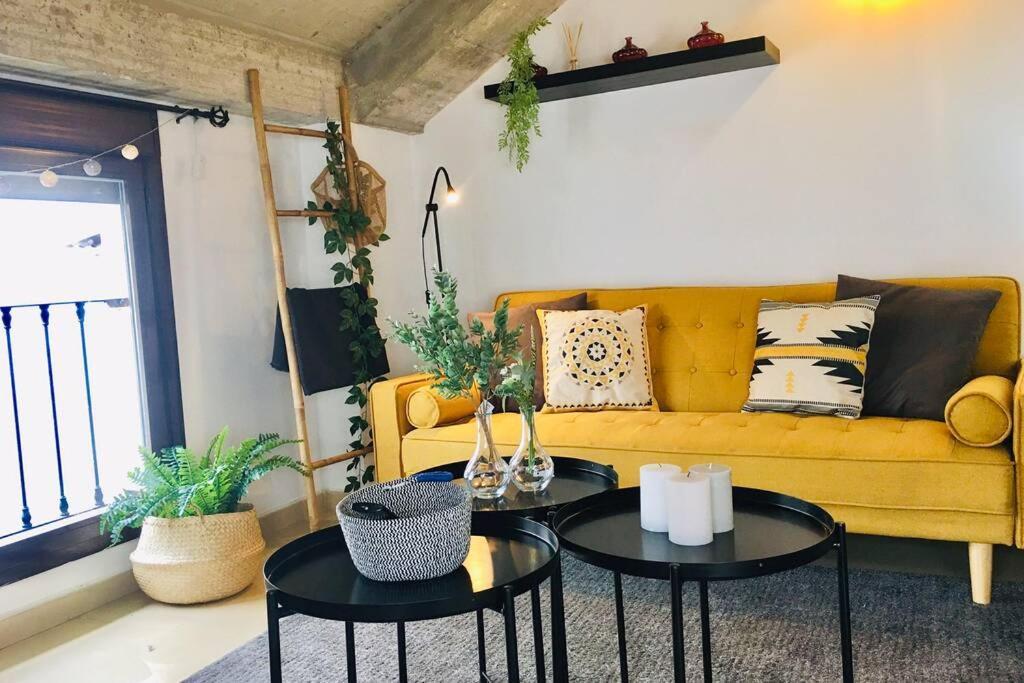 Apartamento Centro Catedral Botánico