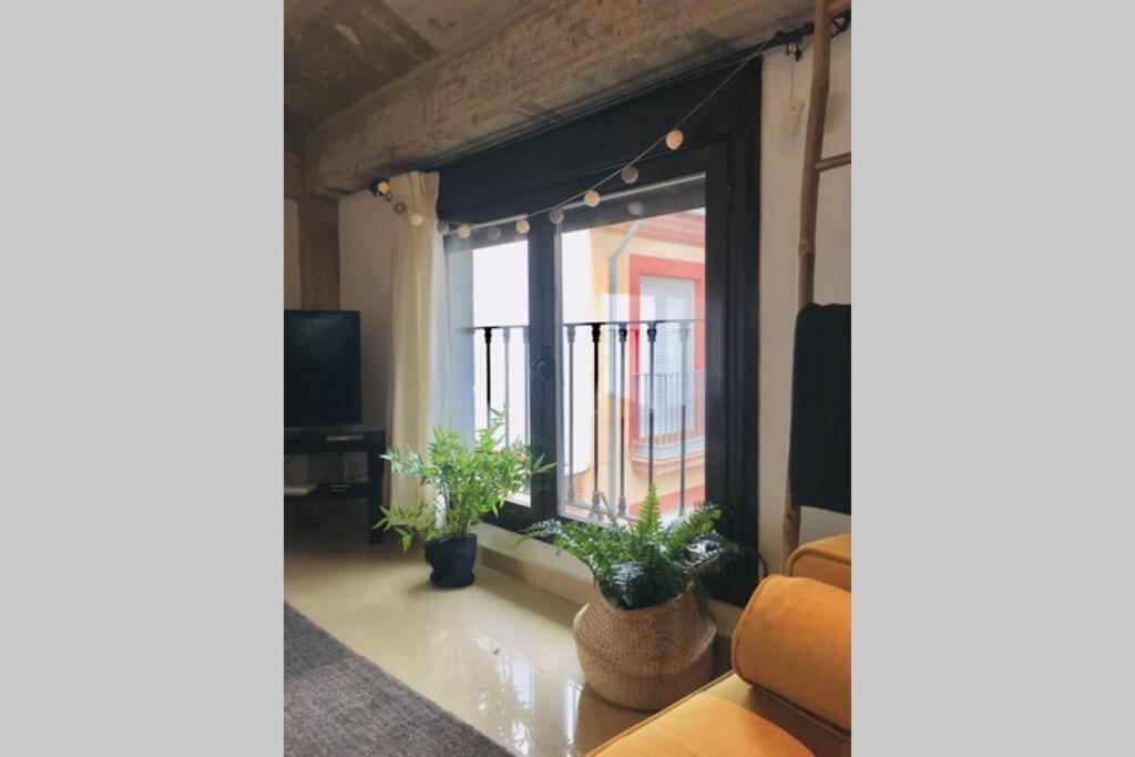 Apartamento Centro Catedral Botánico *