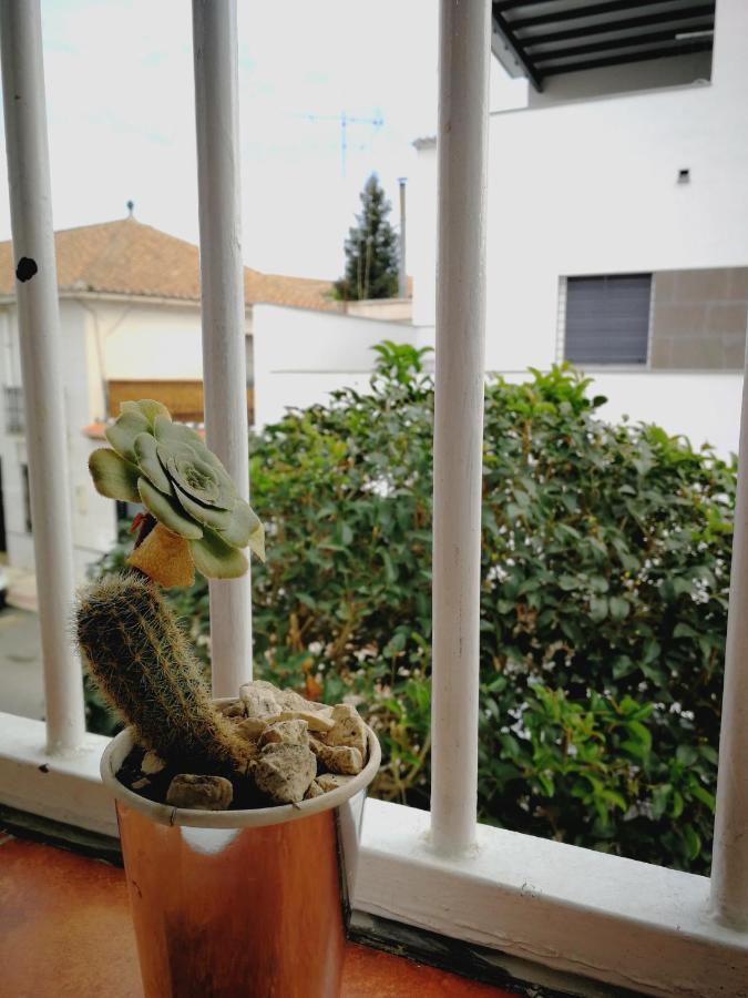 Ca' Vaschino Apartamento