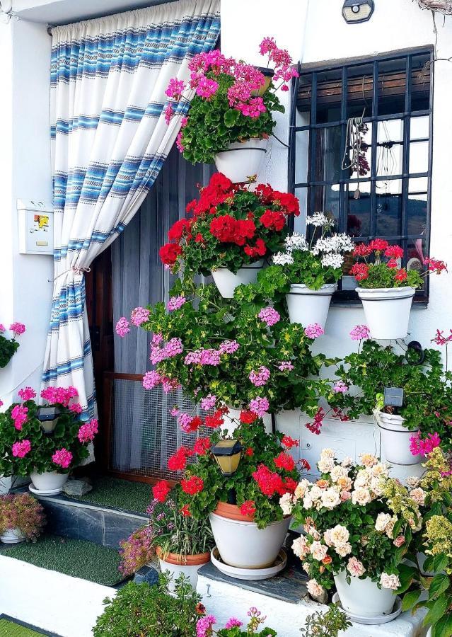 Apartment Casa Alhambra - Centro Historico Con Jardin Privado