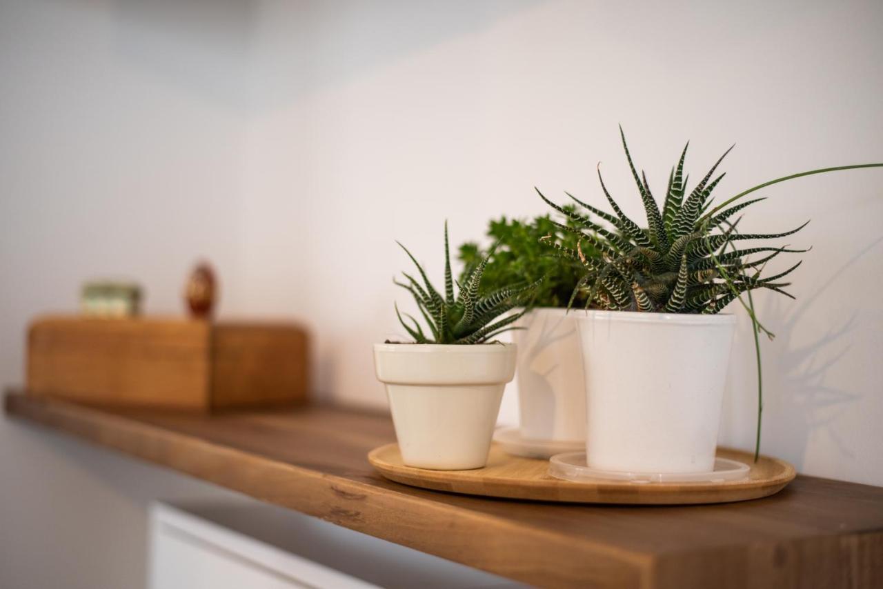 Tuguest S. Jeronimo Apartment Granada