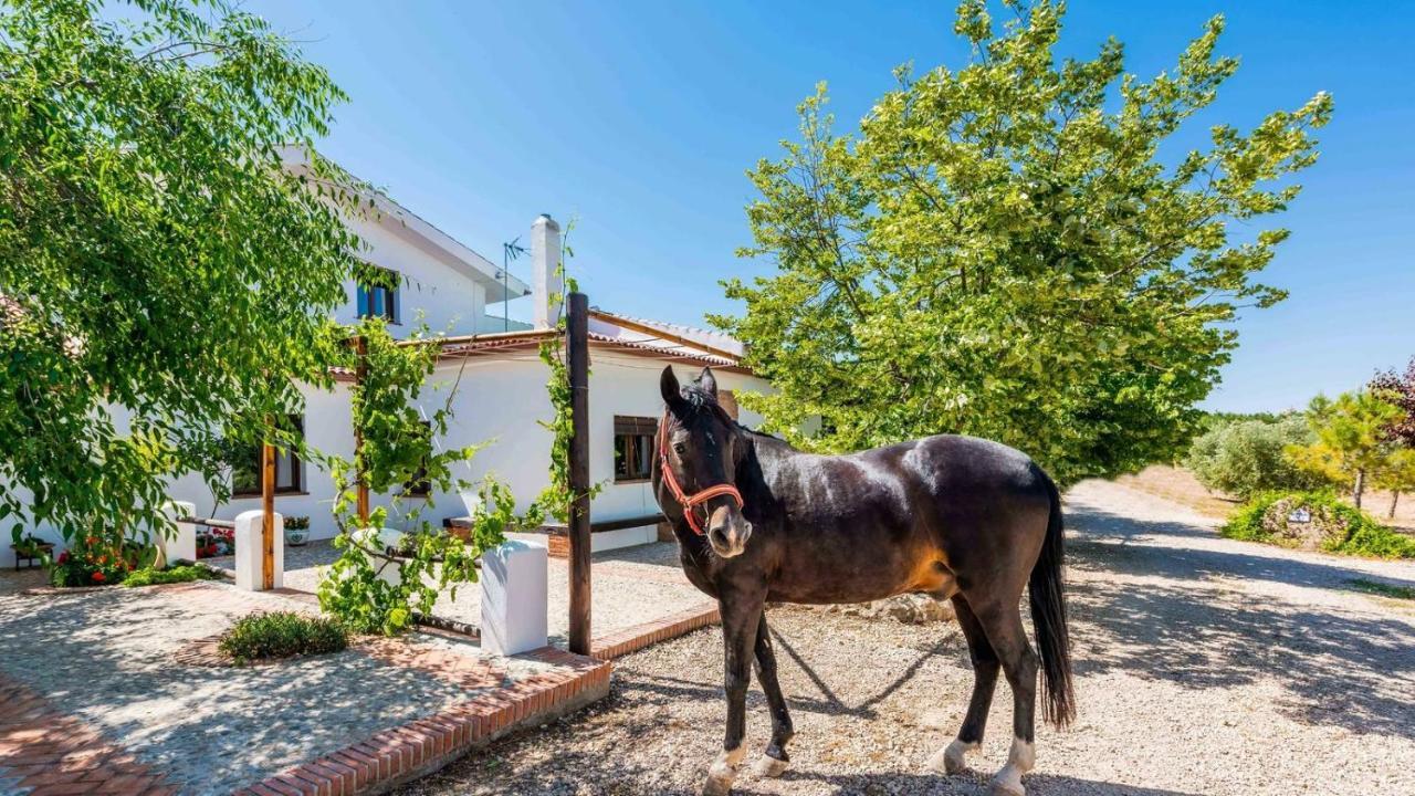 Cortijo Rica Santa Cruz Del Comercio By Ruralidays