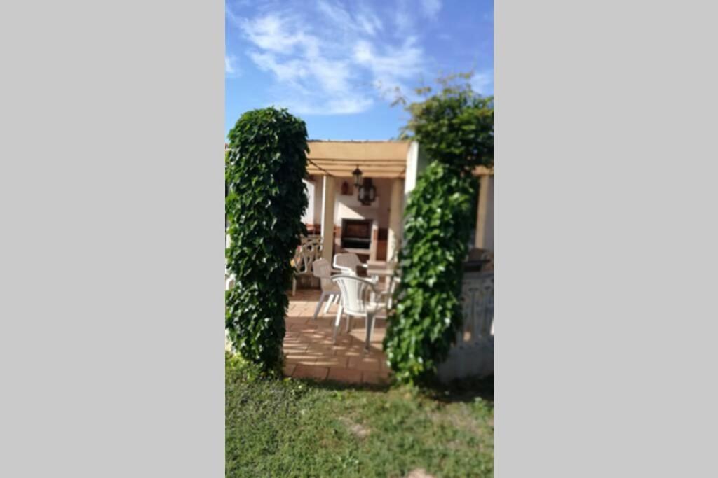 Casa Cactus Preciosa Con Piscina Y Exterior Privado Muy Amplio * Granada