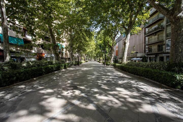 Apartamento La Casa De Talo Granada