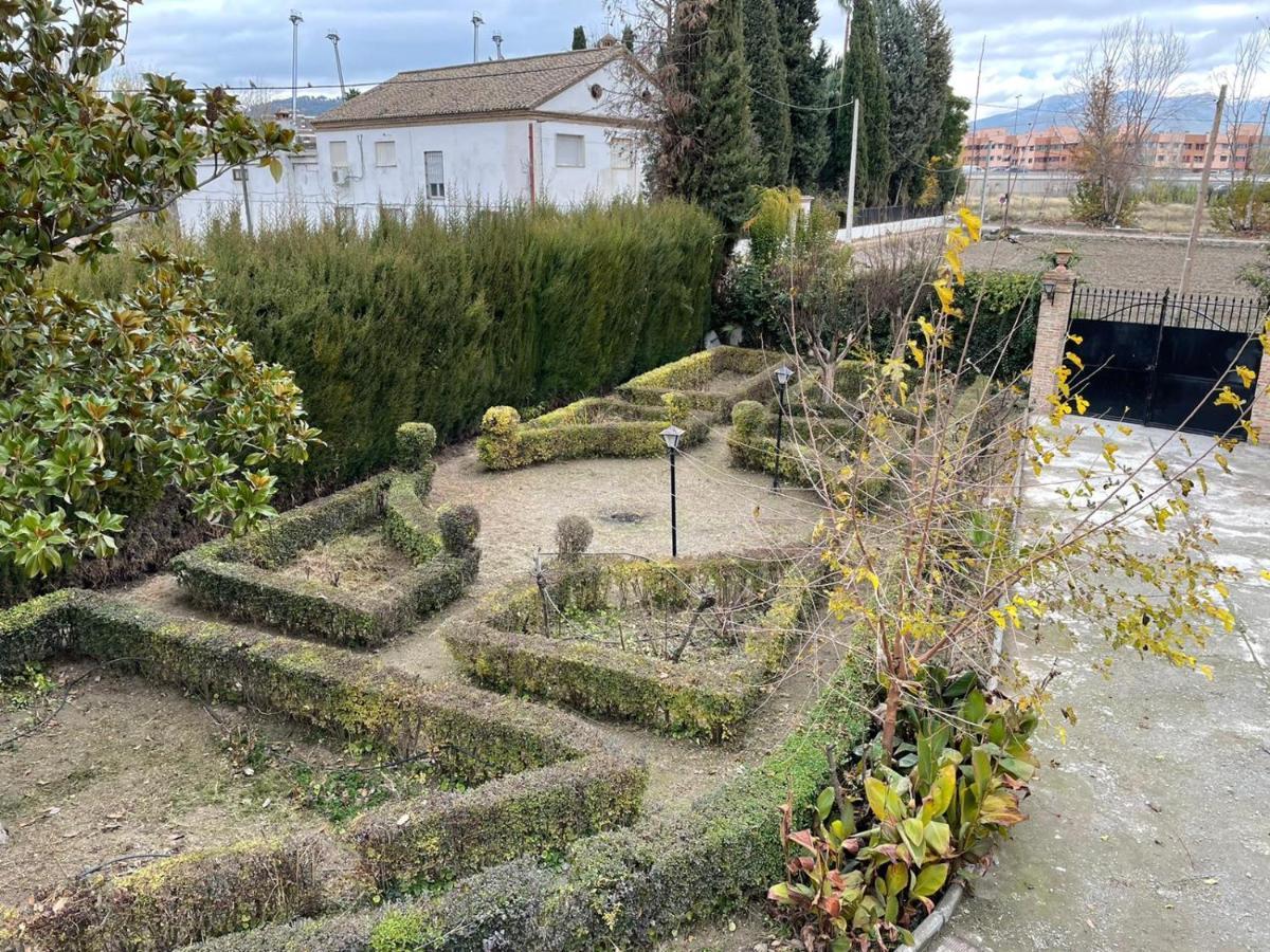 Huerto del Medio *